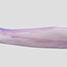 Color: Watercolor Drift Purple - Q25
Compresson: 15-20, 20-30, 30-40 mmHg.  Comes in Sizes: 1-6 Reg & Max